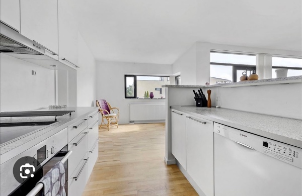 Maler lejlighed 100kv meter