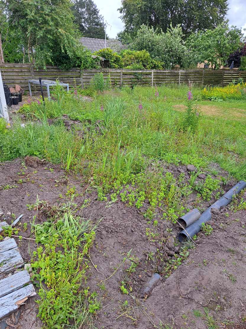 Fjerne ukrudt og rødder