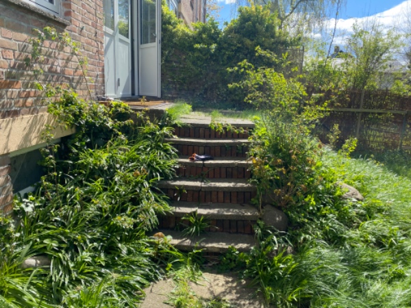 Græsslåning og ukrudtsrydning