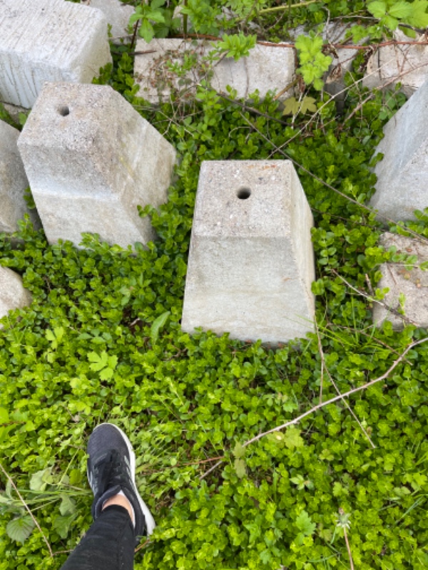 Oprydning af kolonihaveaffald