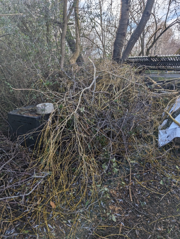 Afhentning af haveaffald... afklippede grene fra hæk og buske