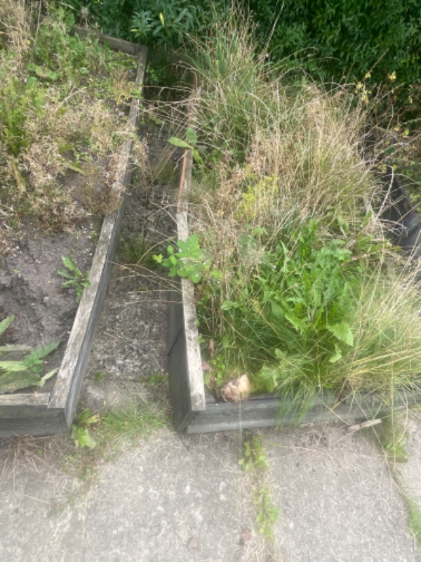 Fjern jord og skære træer