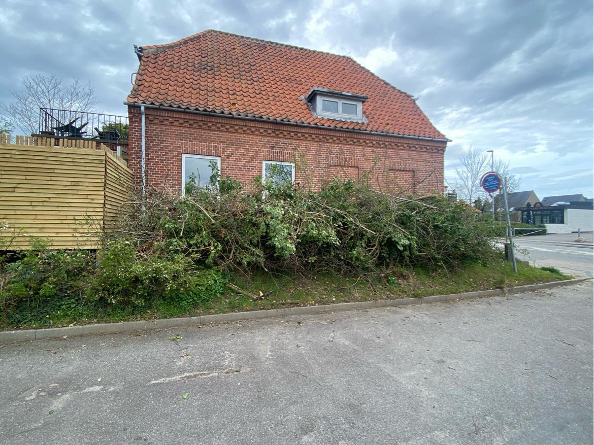 Bortkørsel af træ og grene