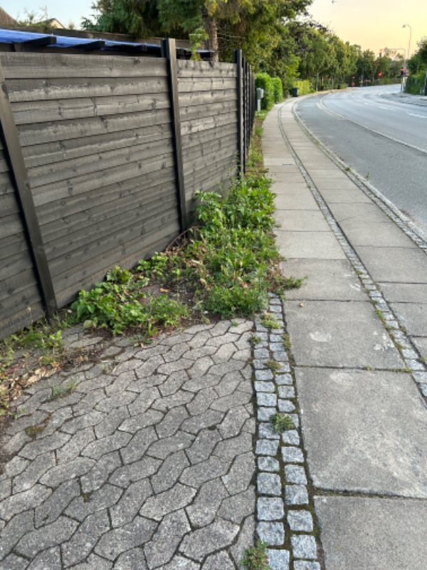 Fjerne ukrudt og ordne have