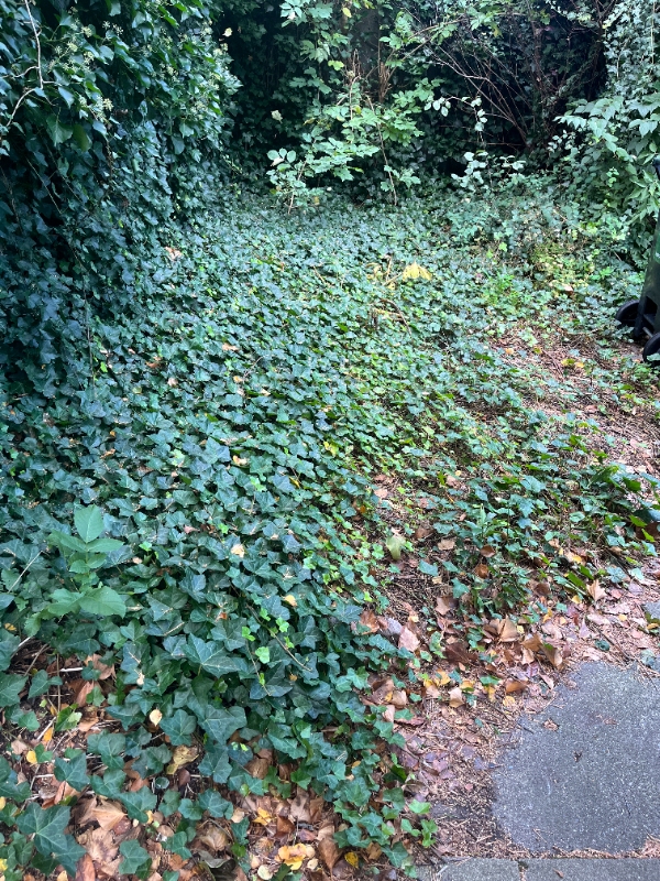 Nivellering af jord-område + lægning af fliser