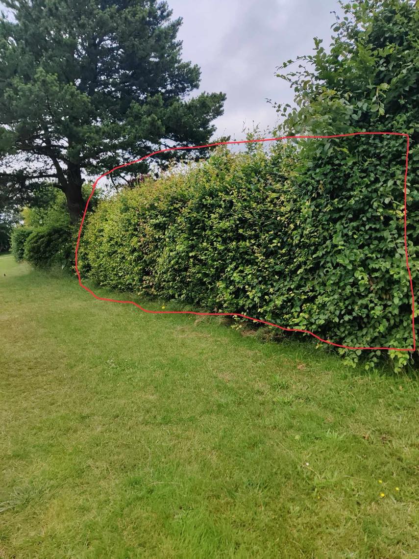 Fjernet ukrudt, klippe hæk og trimme græs i Billund