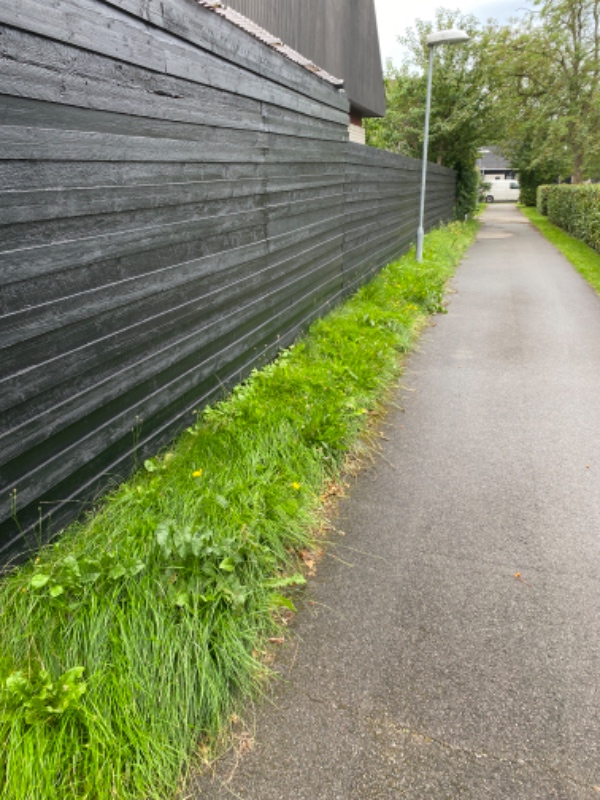Klippet hæk og slå græs