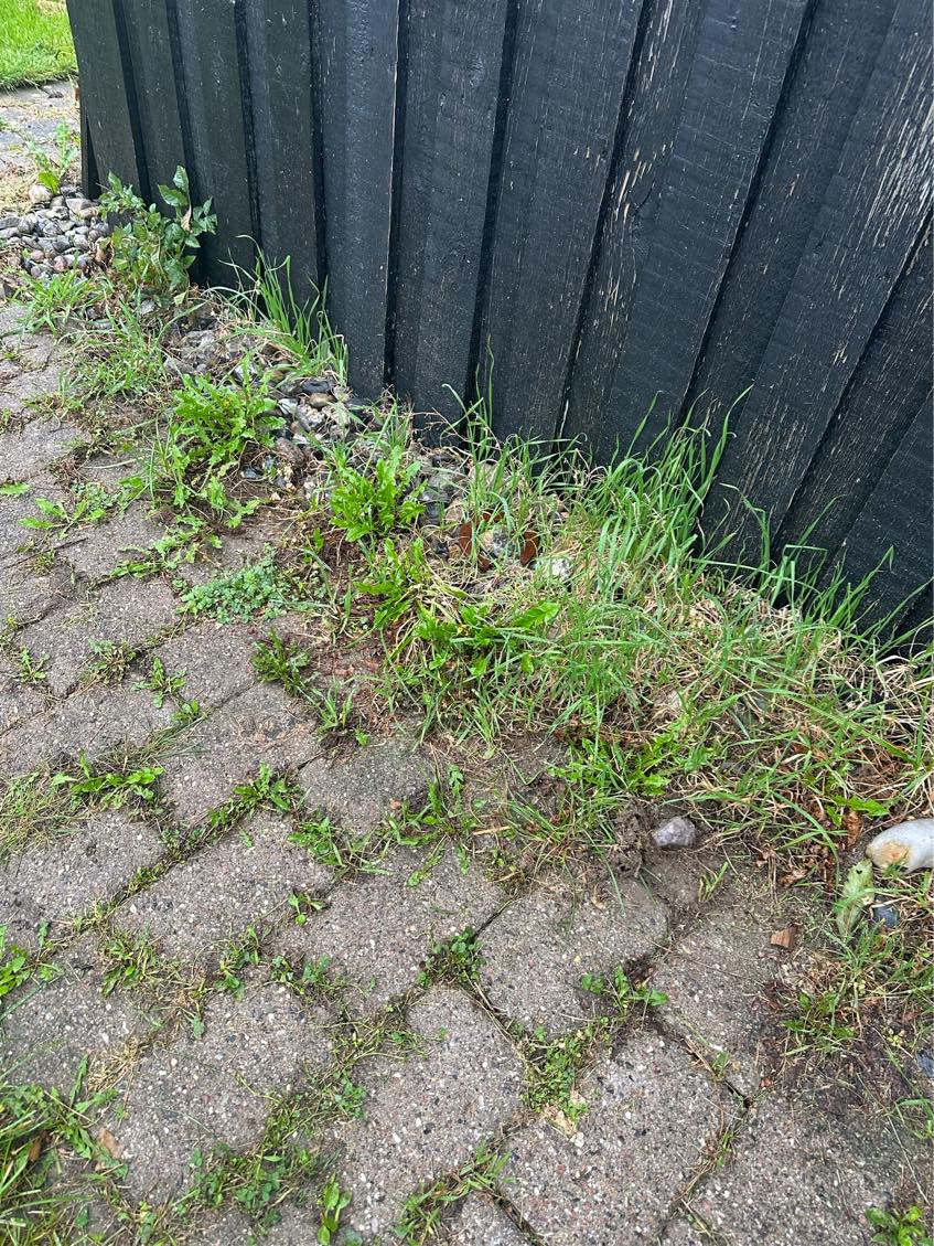 Grave sten og grønt op og køre det på genbrugspladsen