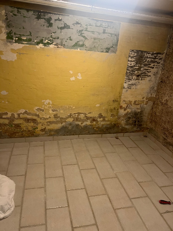 Pudsning indendørs væg kælder