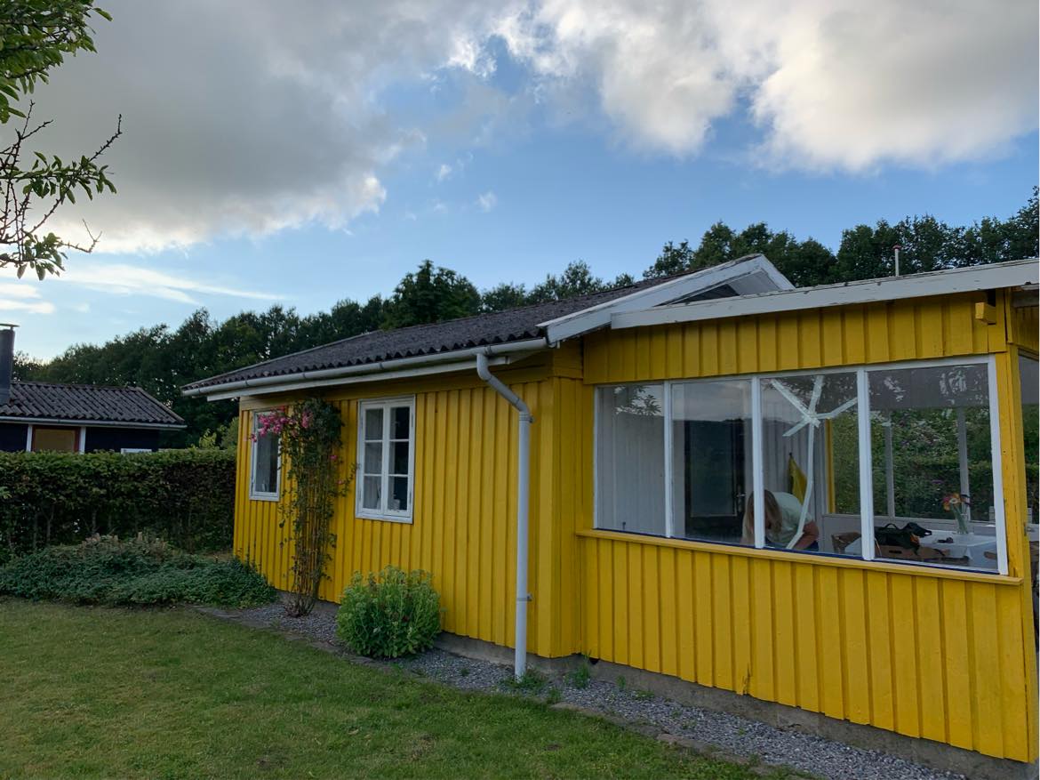 Maling af endegavl på kolonihave