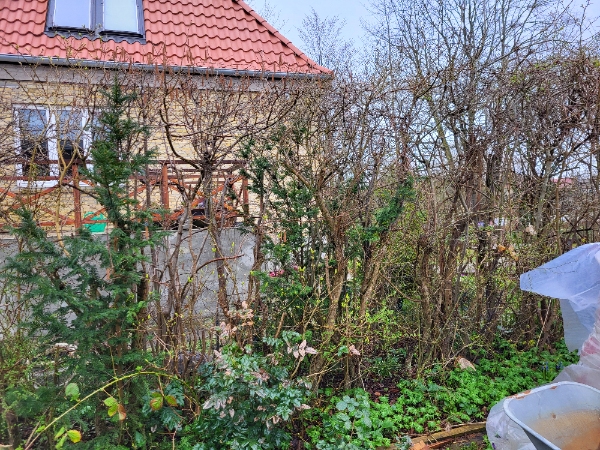 40 meter hæk skal beskæres i 175 cm højde