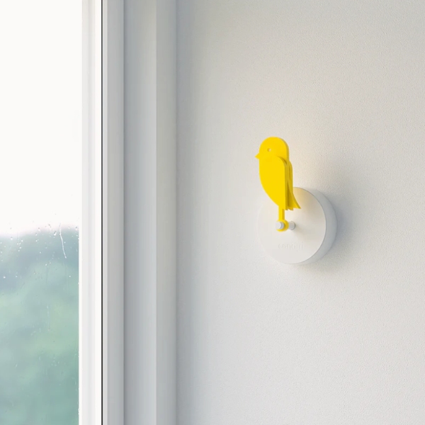 Vi skal have sat 5 AirBirds op på vores kontor