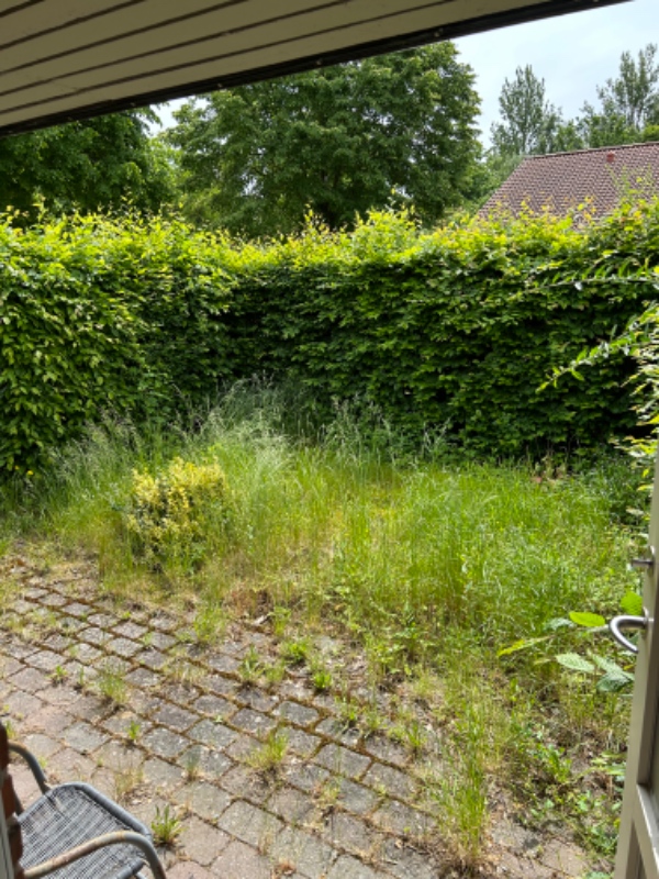 Slå græs og trim hække