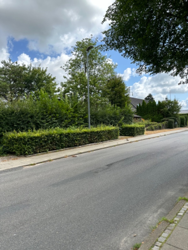 Klipning af blandede hække.