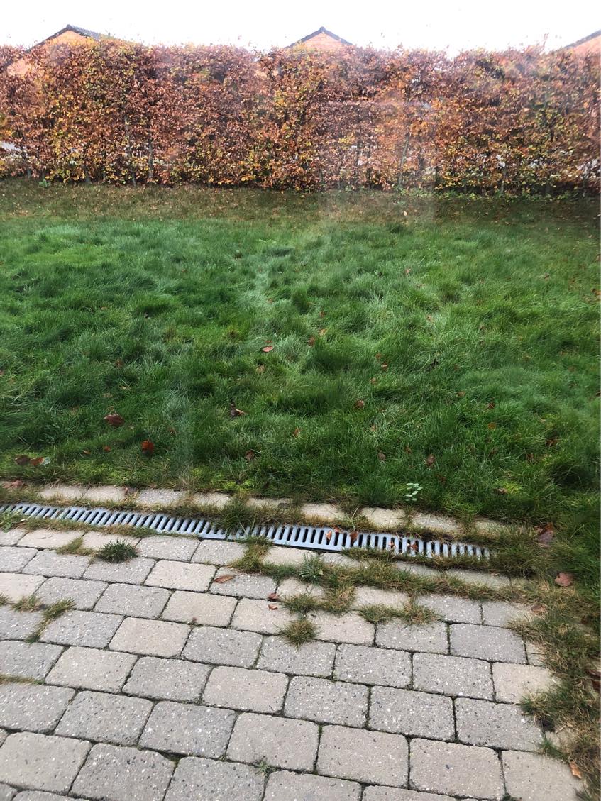 Græsslåning og ukrudt