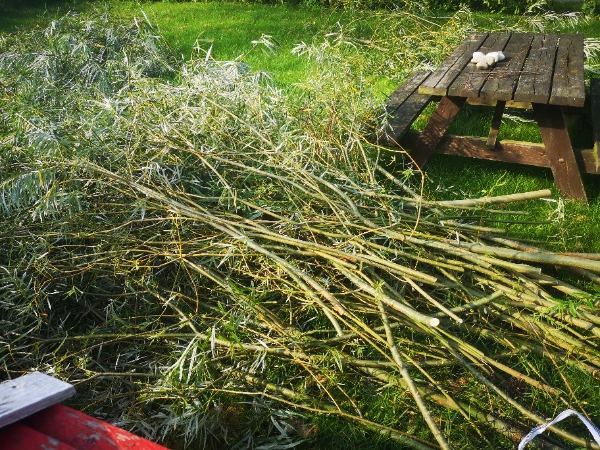 Afhentning af haveaffald