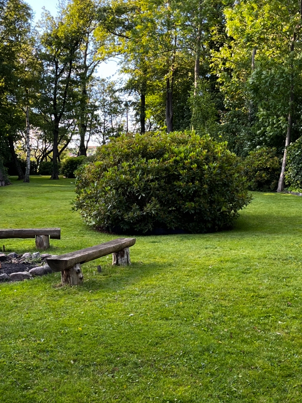 Hækklipning og beskæring i Lyngby