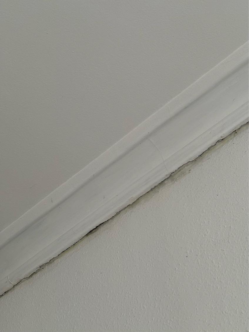 Fixe revne på loftskanten