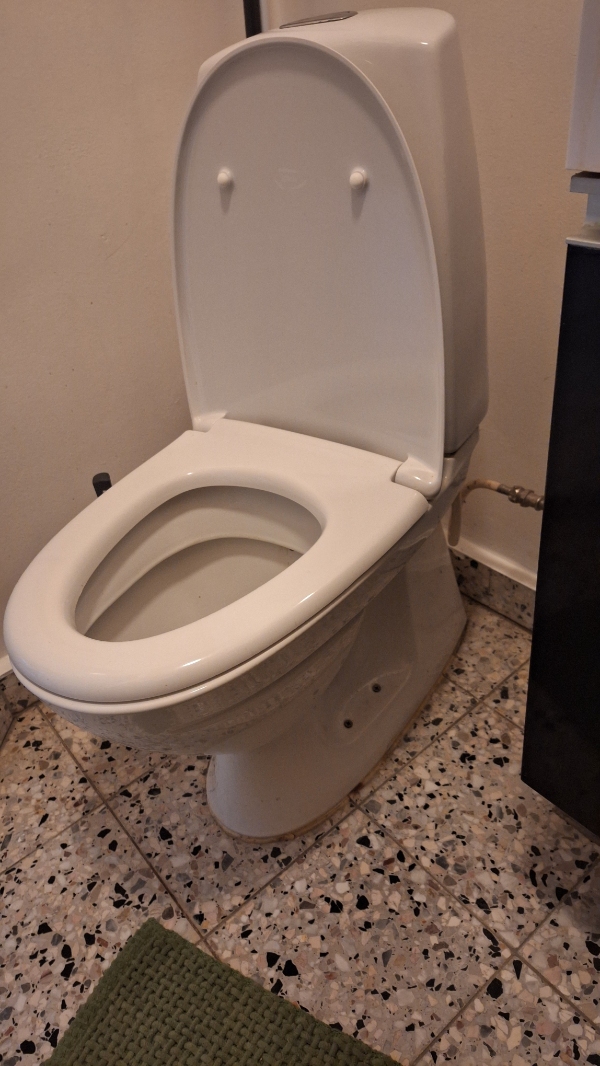 udskiftning af toilet