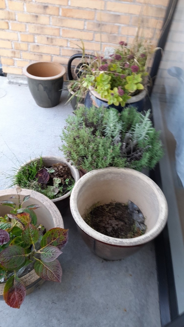 Flytte fra lejlighed(M elevator) , til hus