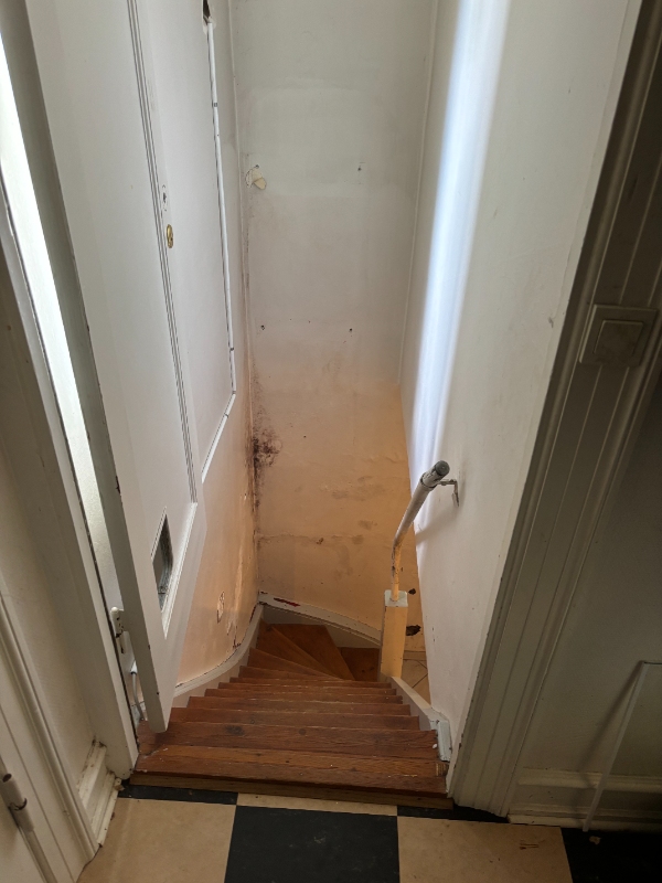 Tør kælder skal istandsættes: pudses og kalkes/males