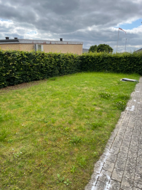 Græs slåning og klippe hæk