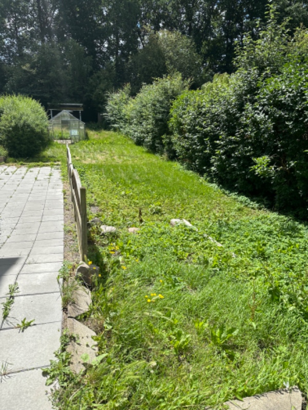 Hækklipning og græsslåning