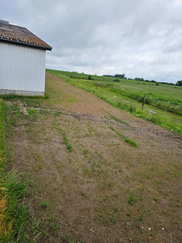 Græsslåning og havearbejde