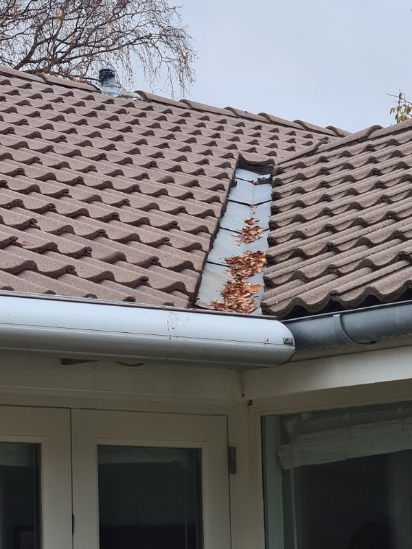 Udskiftning af fuger ved skotrender