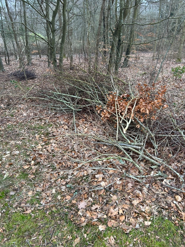 Bortskafning af haveaffald