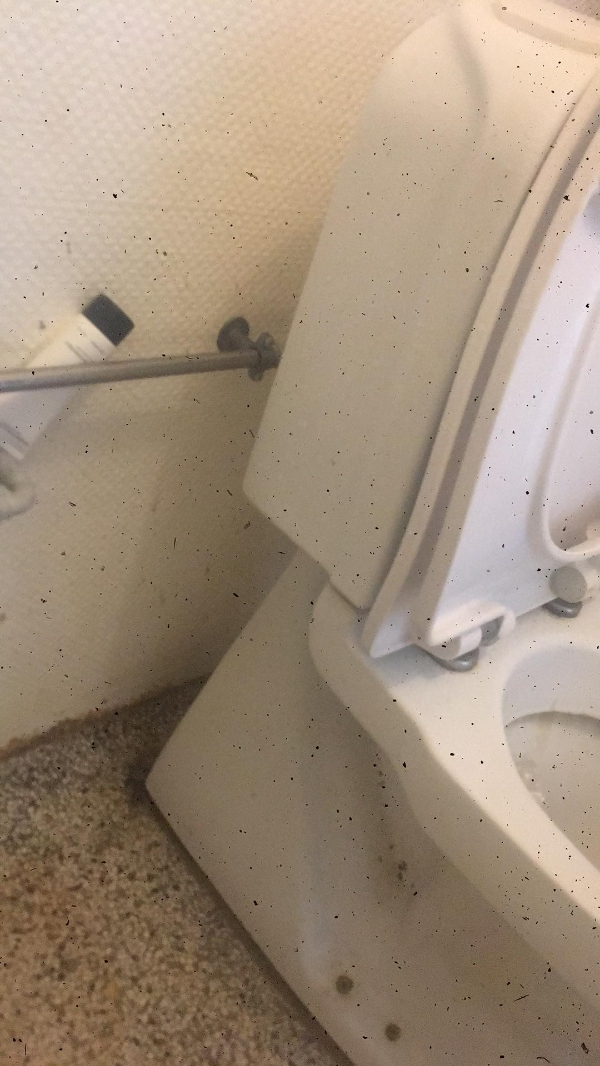 Nyt toilet