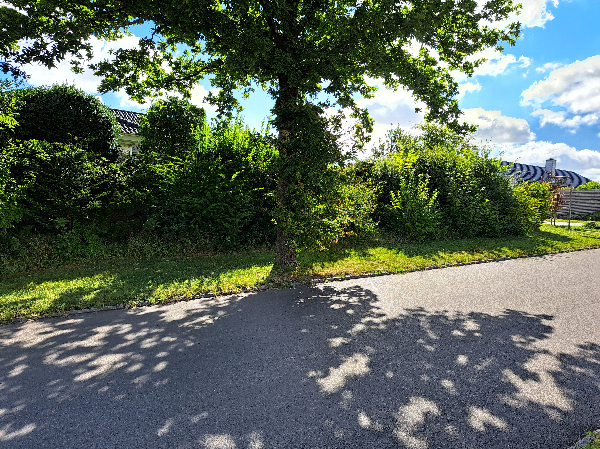 Opsætning af trådhegn