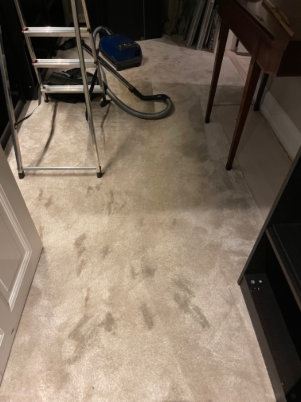 Fjernet 7 kvm tæppe plus klister fra trægulv