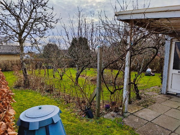 Græsplæneklipning og hæktrimning