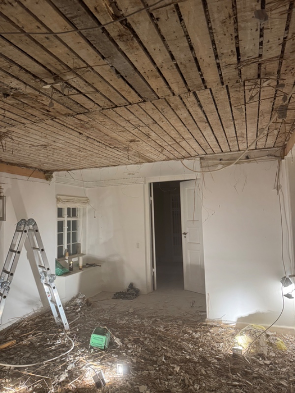 Nedrivning af gips/masonit (agtigt) vægge og træloft i køkken. ca. 25 m2.