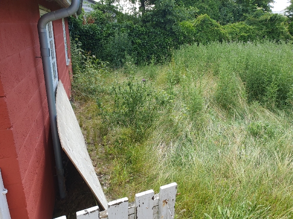 Overgroet forhave og baghave