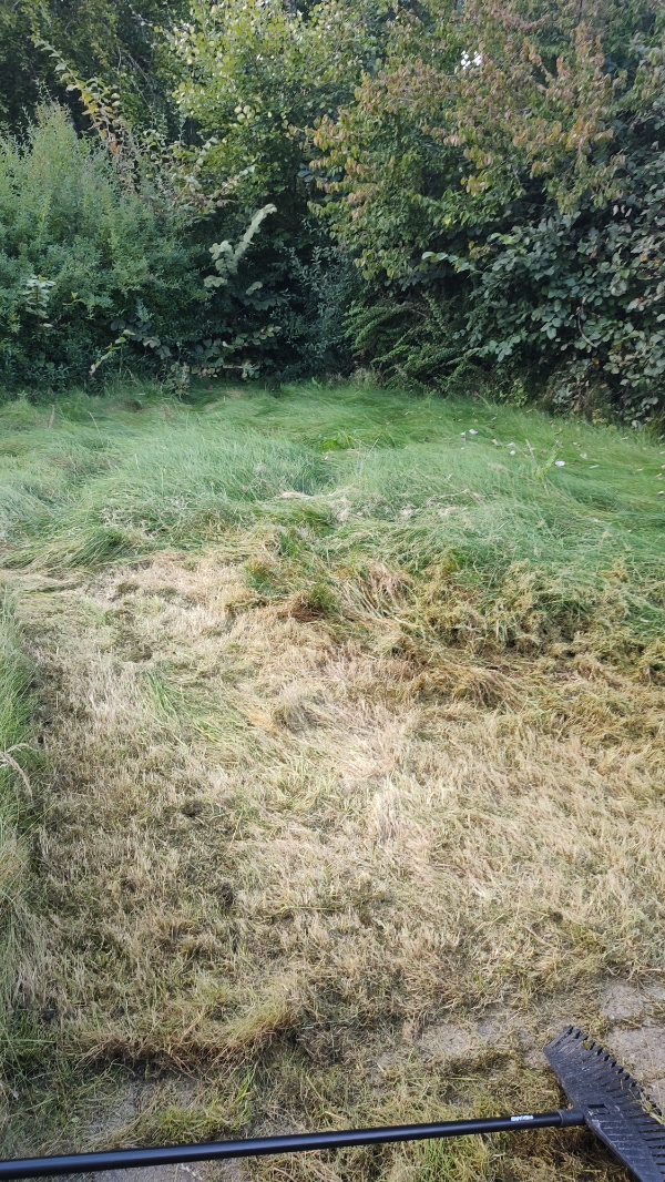 Havearbejde i min have. Jeg har været udenlands i 2 måneder