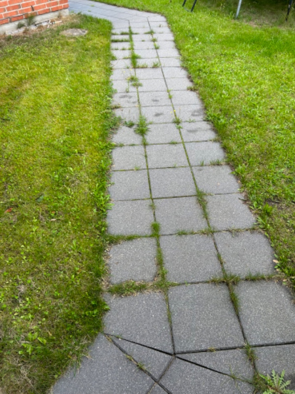Lue bede og mellem fliser