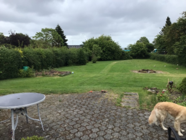 Klipning og bortskaffelse af hæk