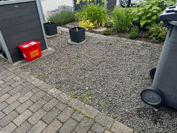 Klipning af bøgehæk og ukrudt