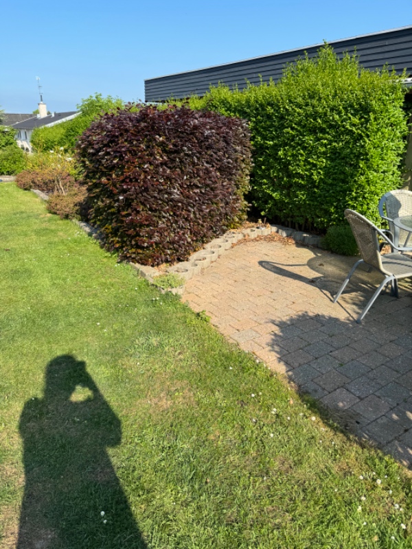 Udgravning til trampolin og træer