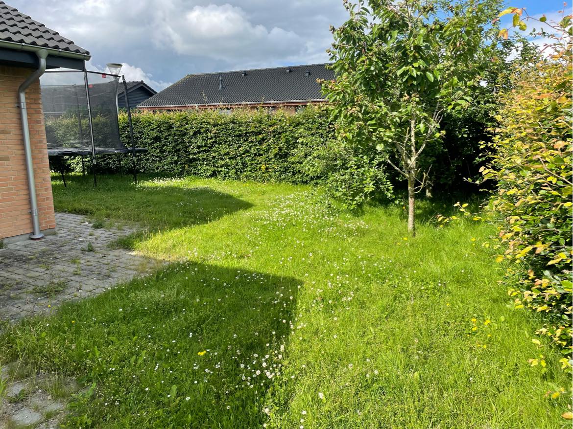 Slå græs