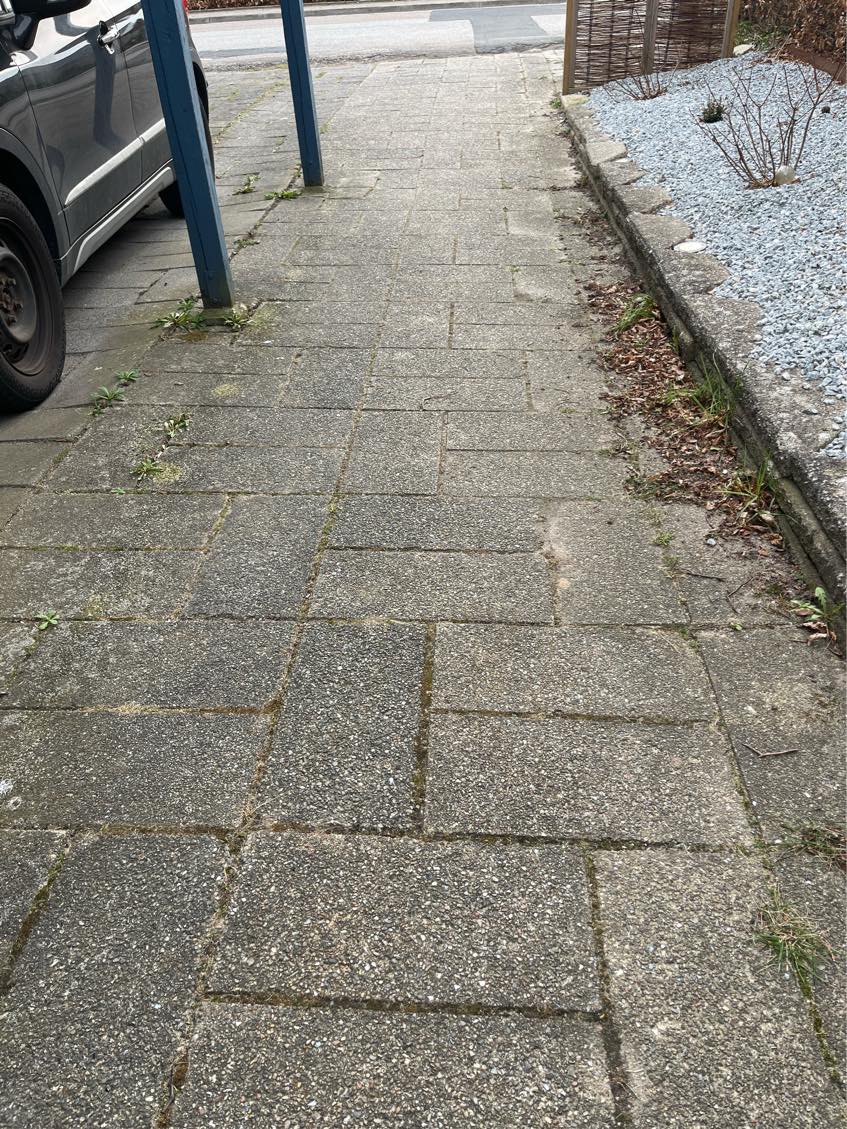 Ukrudt mellem fliser i indkørsel og havegang