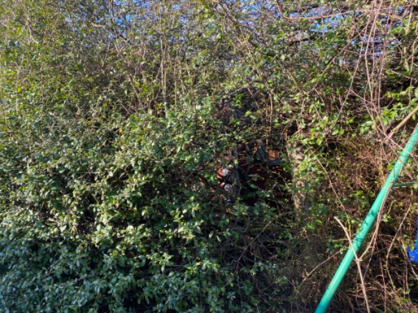 Nedklipning af busk og fjernelse af gyngestativ