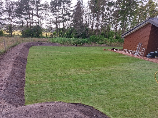 Græsplæne- og voldgravsvedligeholdelse