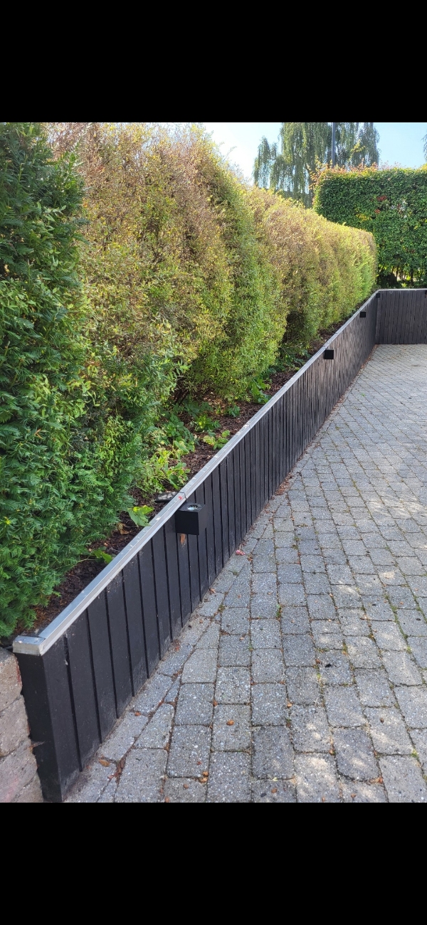 Klipning af høj lang hæk