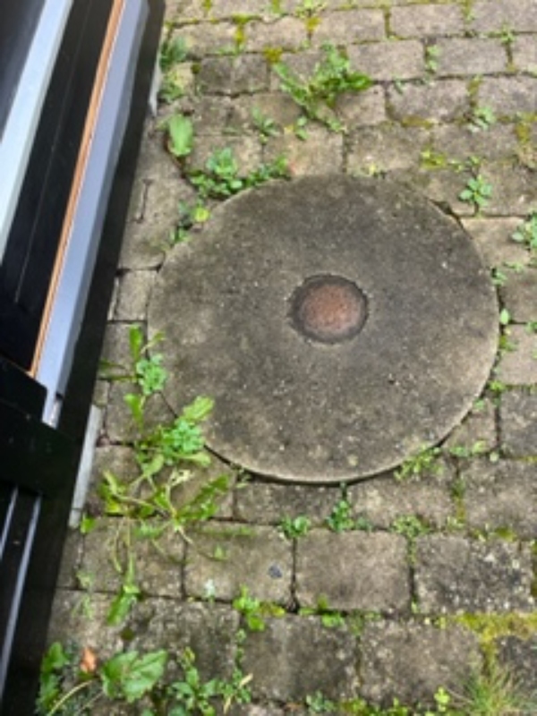 Rensning af rottespærrer og tilse brønd