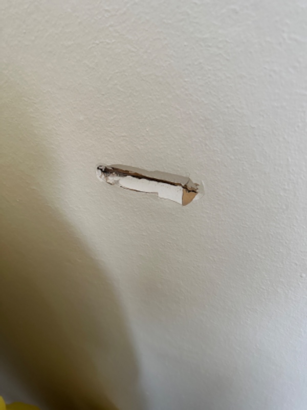 Fraflytning af lejlighed (lidt maling og andre småreparationer).