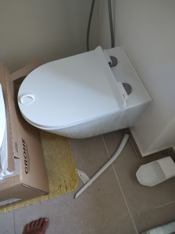 remove and install new wall mounted commode