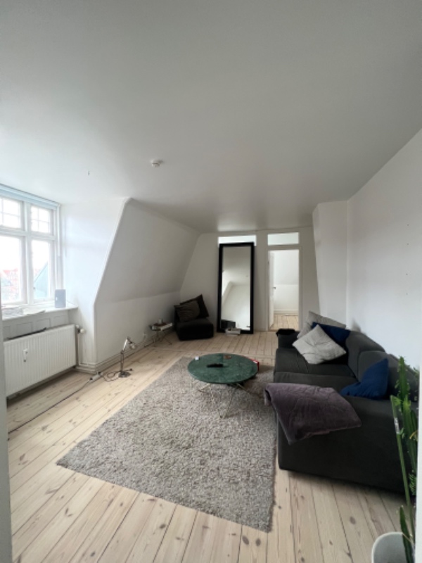 Male 60 kvm væg og loft